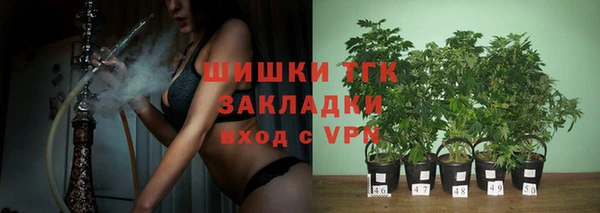 сатива Балахна