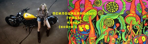 сатива Балахна
